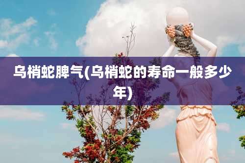 乌梢蛇脾气(乌梢蛇的寿命一般多少年)