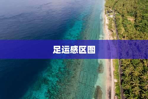 足运感区图