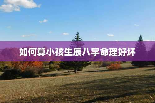 如何算小孩生辰八字命理好坏