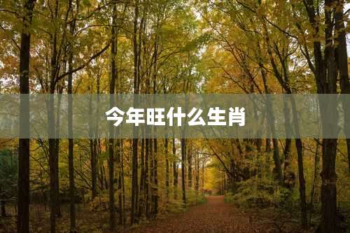 今年旺什么生肖