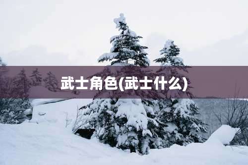 武士角色(武士什么)