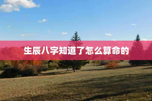 生辰八字知道了怎么算命的