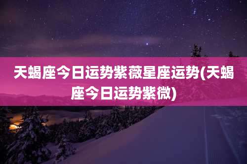 天蝎座今日运势紫薇星座运势(天蝎座今日运势紫微)
