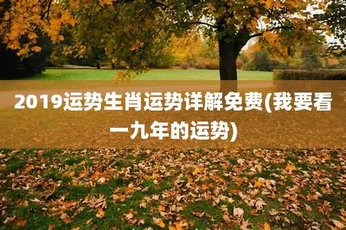 2019运势生肖运势详解免费(我要看一九年的运势)
