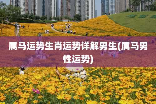 属马运势生肖运势详解男生(属马男性运势)