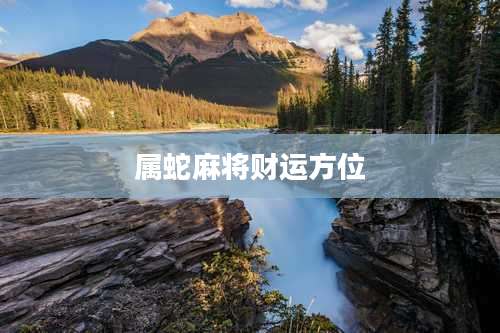 属蛇麻将财运方位