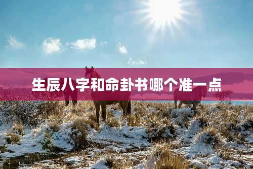 生辰八字和命卦书哪个准一点