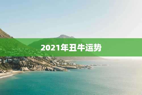 2021年丑牛运势
