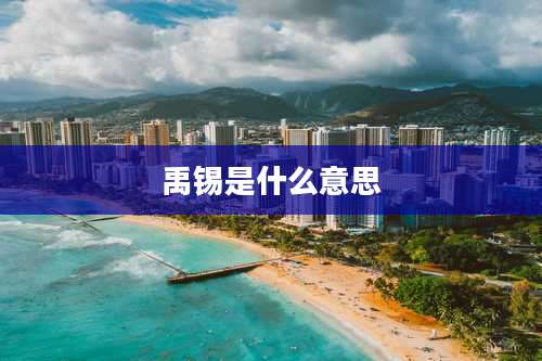 禹锡是什么意思