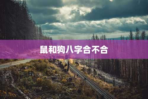 鼠和狗八字合不合