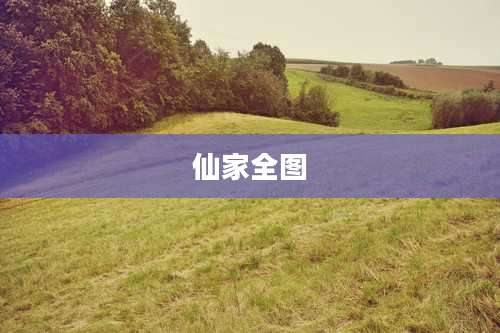仙家全图