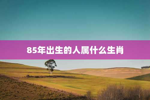 85年出生的人属什么生肖