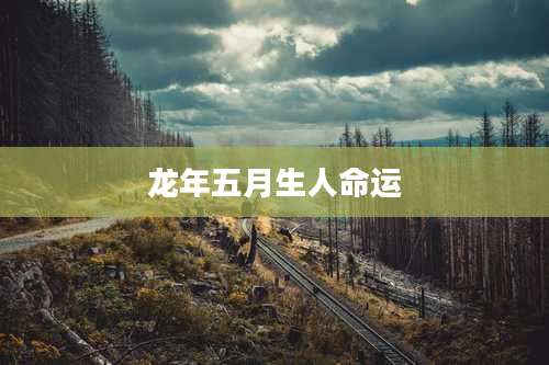 龙年五月生人命运