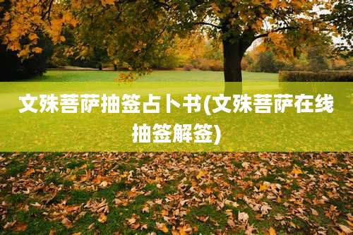 文殊菩萨抽签占卜书(文殊菩萨在线抽签解签)