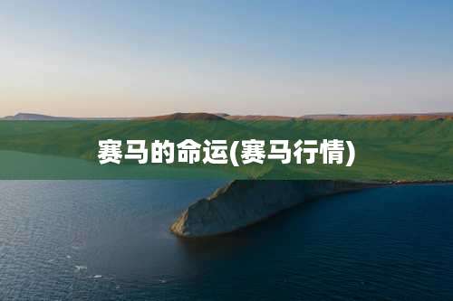 赛马的命运(赛马行情)