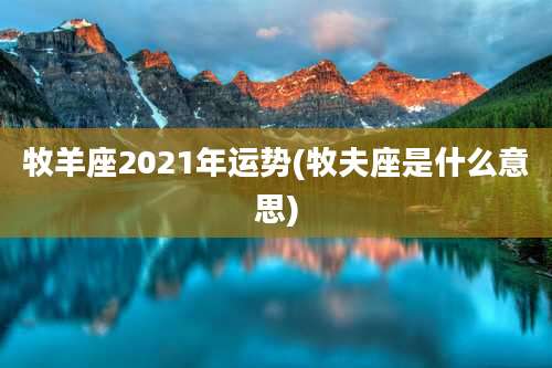 牧羊座2021年运势(牧夫座是什么意思)