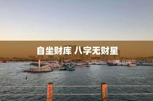 自坐财库 八字无财星