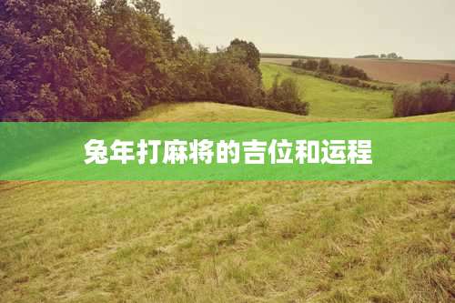 兔年打麻将的吉位和运程