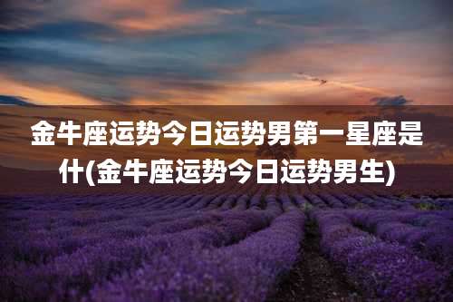 金牛座运势今日运势男第一星座是什(金牛座运势今日运势男生)