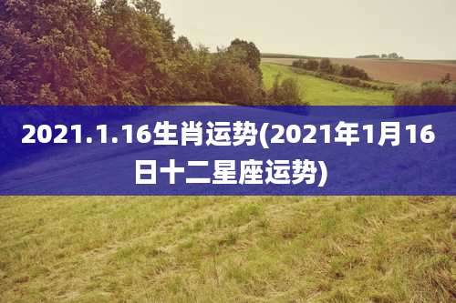 2021.1.16生肖运势(2021年1月16日十二星座运势)