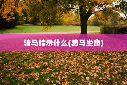 骑马暗示什么(骑马坐命)