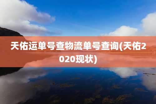 天佑运单号查物流单号查询(天佑2020现状)