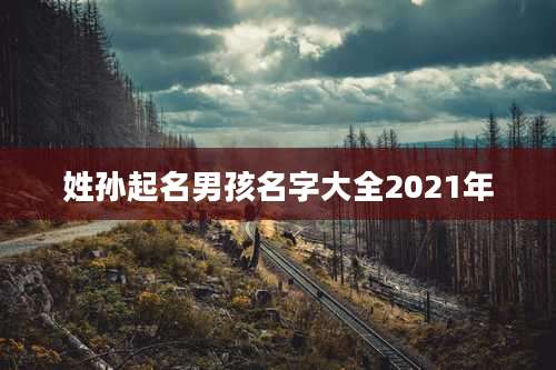 姓孙起名男孩名字大全2021年