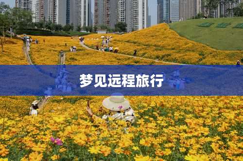 梦见远程旅行