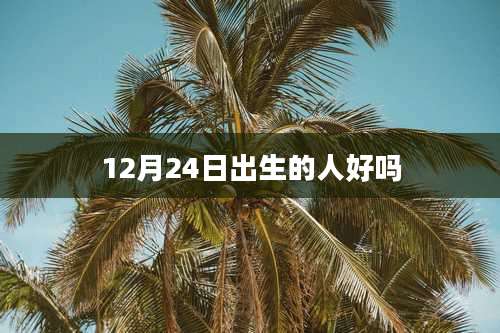 12月24日出生的人好吗