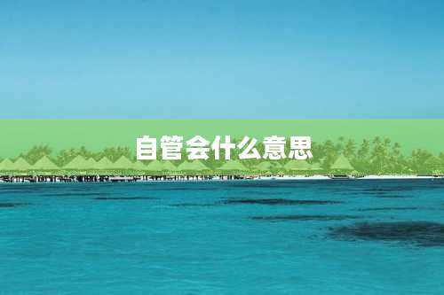 自管会什么意思