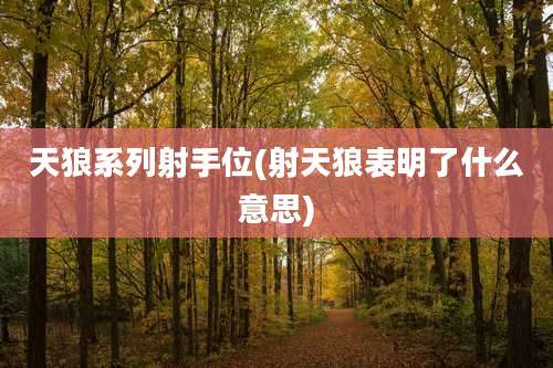 天狼系列射手位(射天狼表明了什么意思)