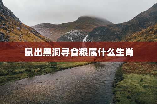 鼠出黑洞寻食粮属什么生肖