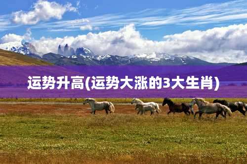 运势升高(运势大涨的3大生肖)