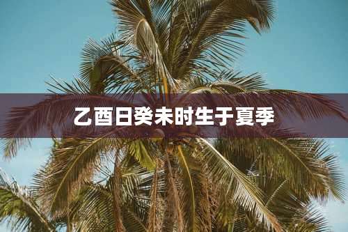 乙酉日癸未时生于夏季