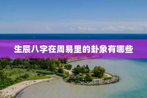 生辰八字在周易里的卦象有哪些