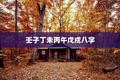 壬子丁未丙午戊戌八字