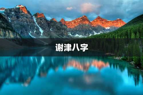 谢津八字