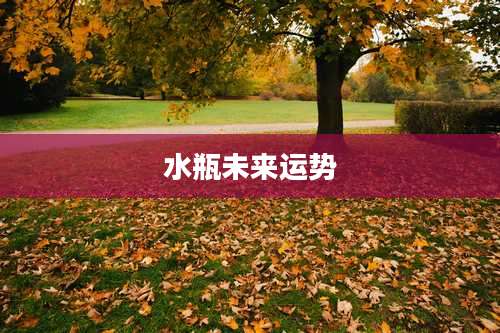 水瓶未来运势