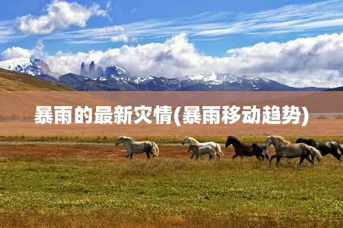 暴雨的最新灾情(暴雨移动趋势)