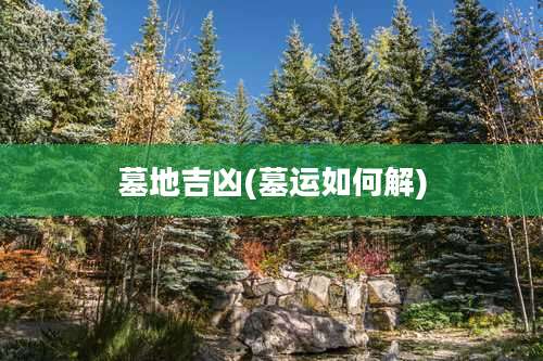 墓地吉凶(墓运如何解)