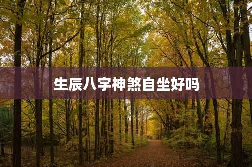 生辰八字神煞自坐好吗