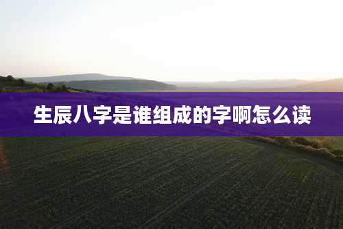 生辰八字是谁组成的字啊怎么读