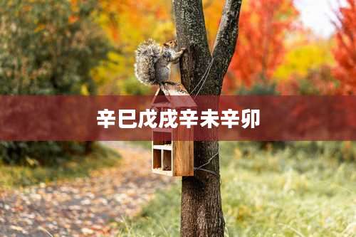 辛巳戊戌辛未辛卯