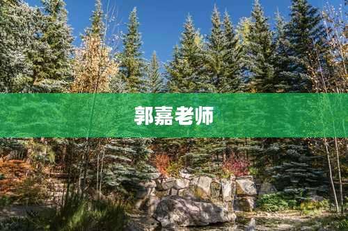 郭嘉老师