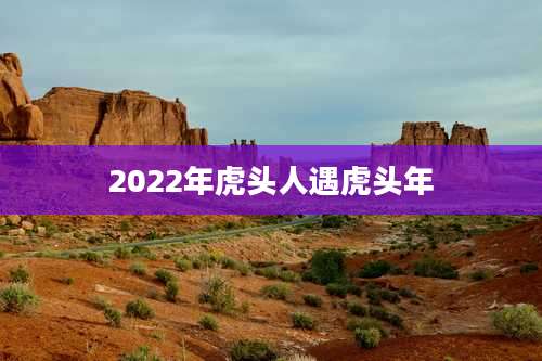 2022年虎头人遇虎头年