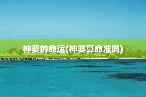 神婆的命运(神婆算命准吗)