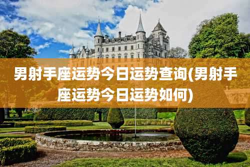 男射手座运势今日运势查询(男射手座运势今日运势如何)