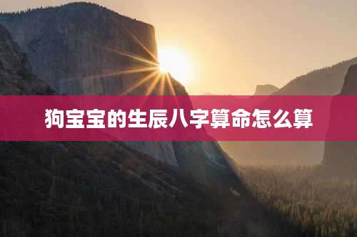 狗宝宝的生辰八字算命怎么算