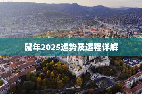 鼠年2025运势及运程详解