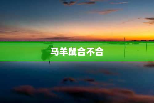 马羊鼠合不合